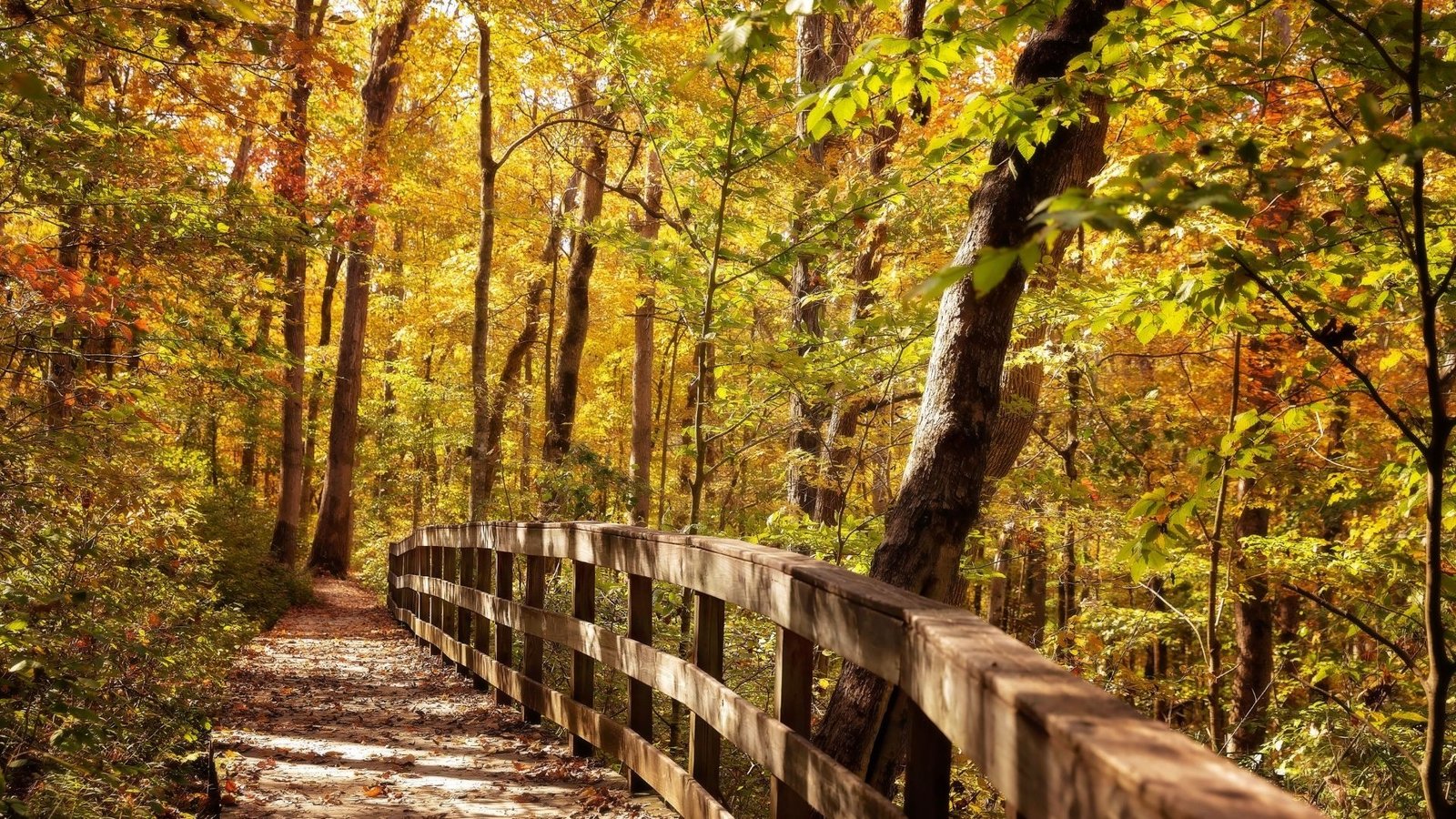 Kentucky fall weather.